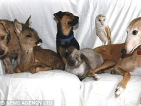 Jasmine – One of God’s Great Creations