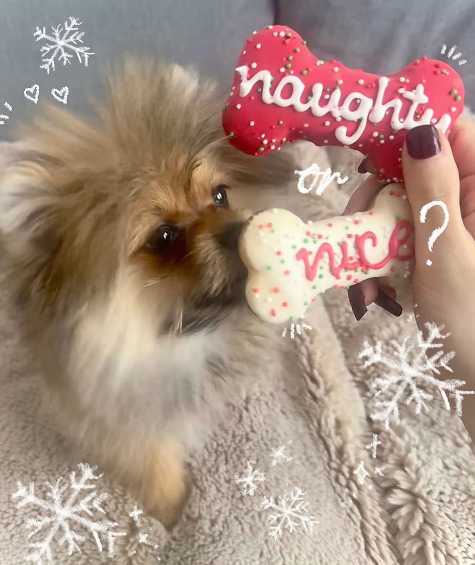 Thumbnail: Christmas Nice Cookie