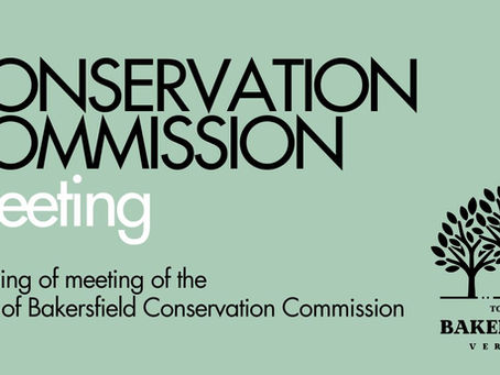 The BCC! Meeting agenda link below....