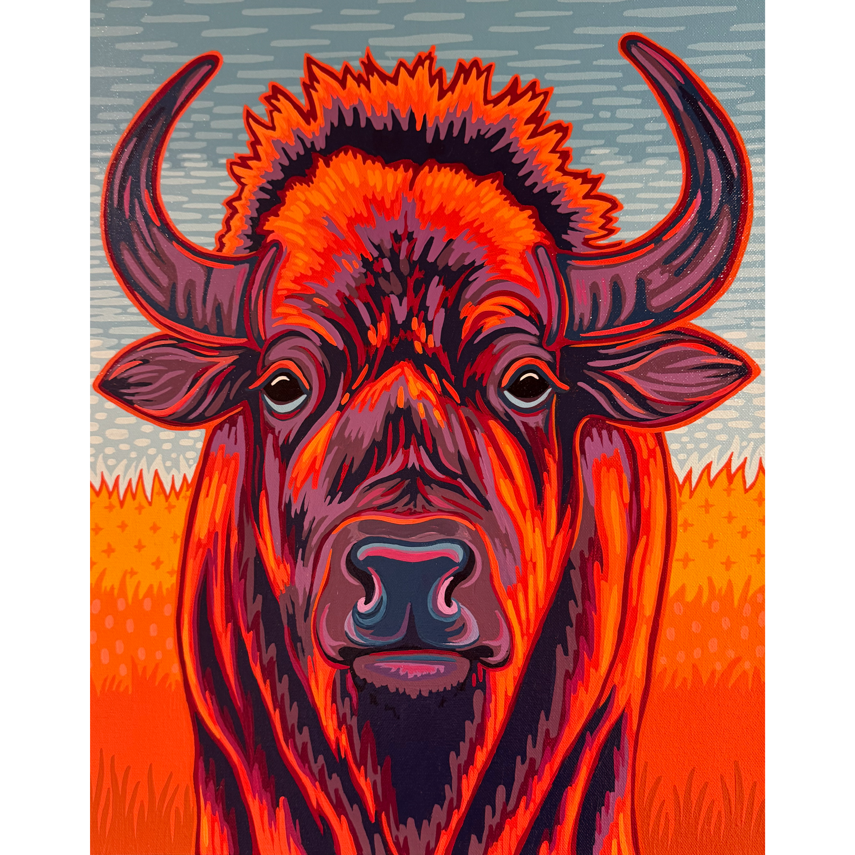 Bison