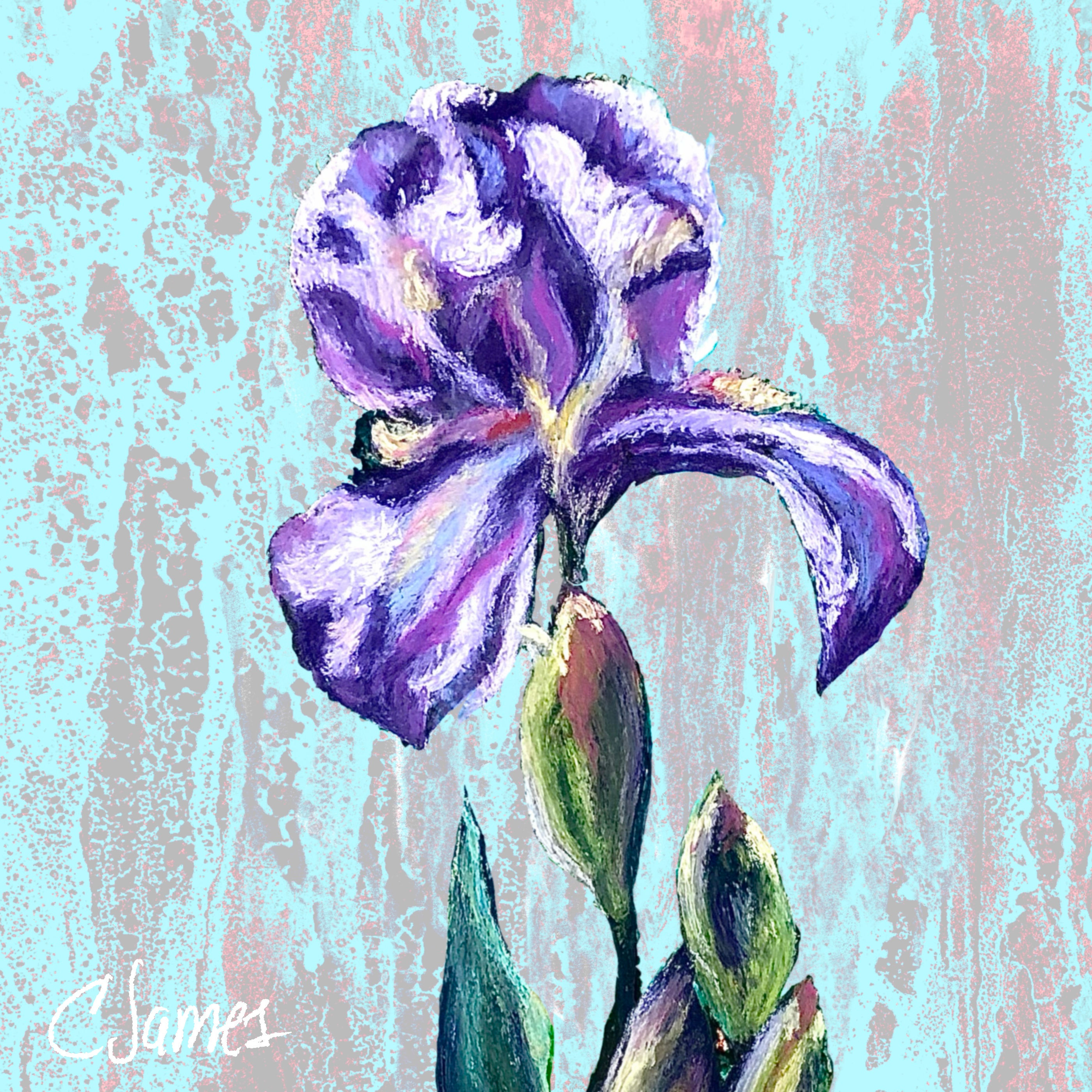 Purple Passion Alumiprint