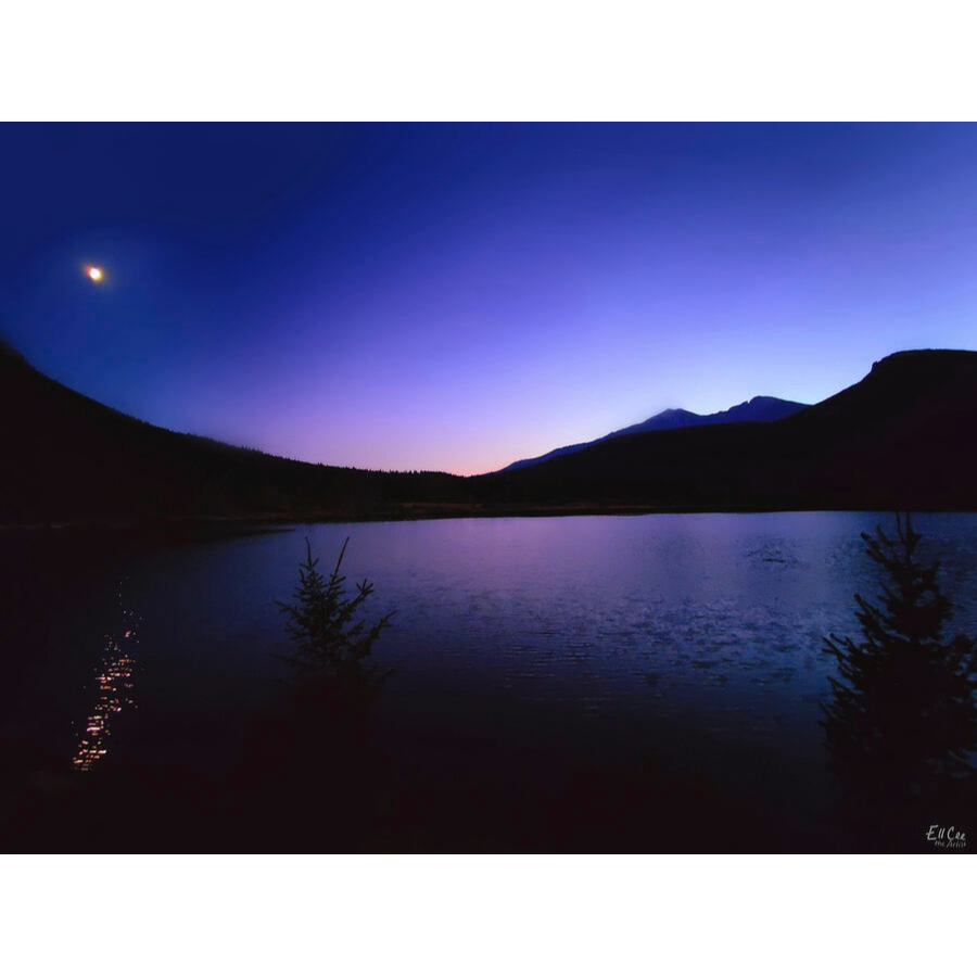 Small Bright Moments
