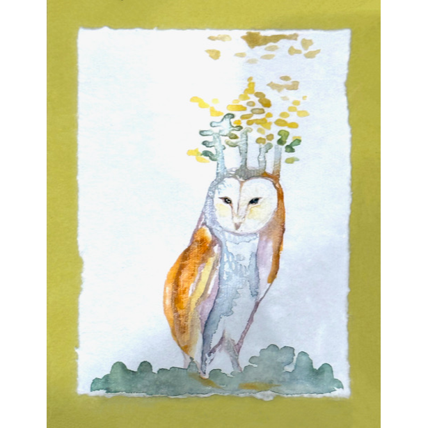 Aspen Owl