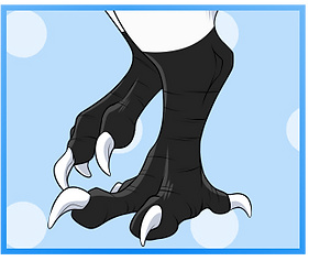 august_up_csirkatrice_talons_by_phantoma