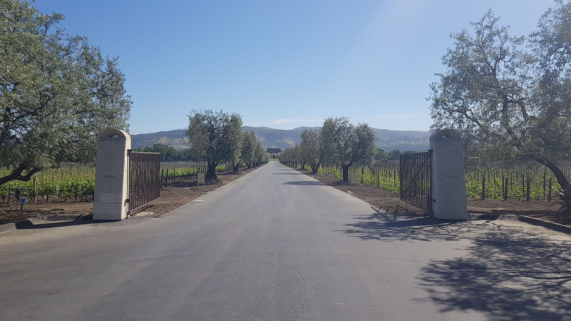 Opus One Maio 2018
