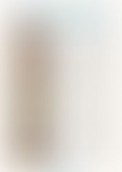 區區港故佬 茶餐廳文化