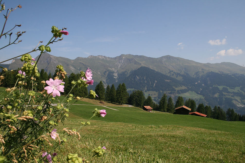 Tschiertschen Mountains IMG_5686 (c) Pavel Laurencik for The Alpina.JPG