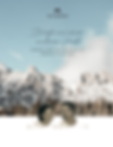 Senhoog Briefe Teaser (415 x 545 px).png