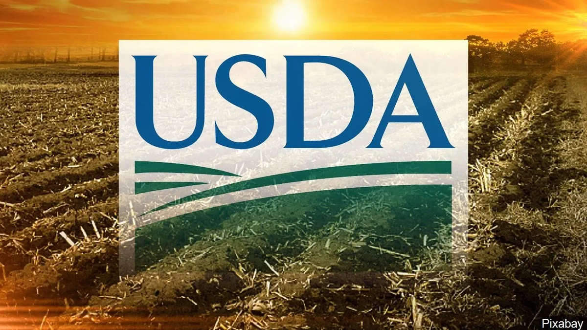 USDAfsa.webp