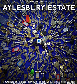 AYLESBURY ESTATE.jpg