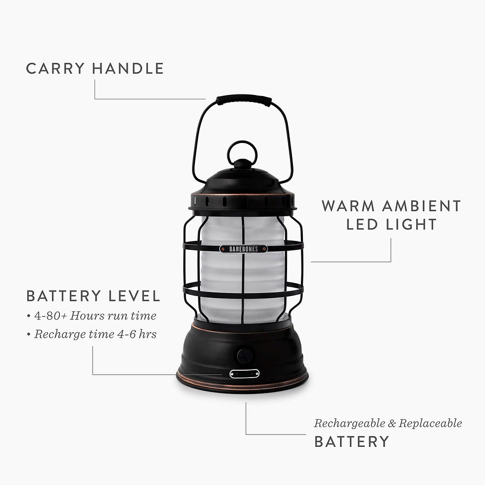ภาพขนาดย่อ: Barebones Forest Lantern Antique Bronze