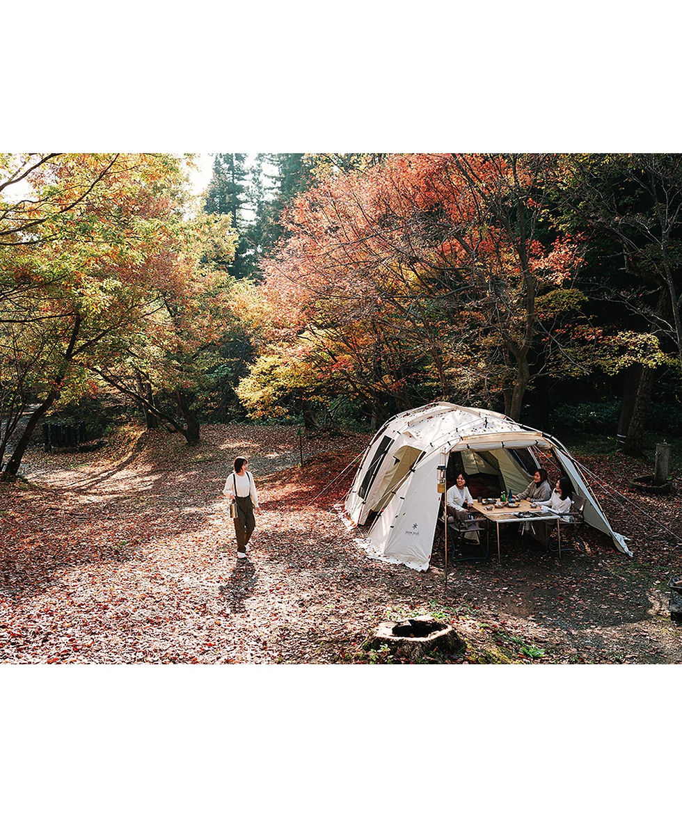 섬네일: Land Lock IVORY TP-671IV
