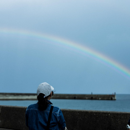 การใช้ชีวิตบนเกาะซาโดะ