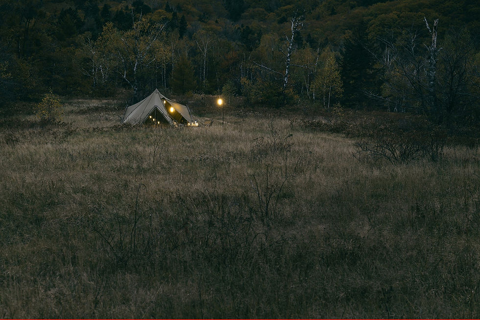 ภาพขนาดย่อ: ZANEARTS ZEKU-M TC