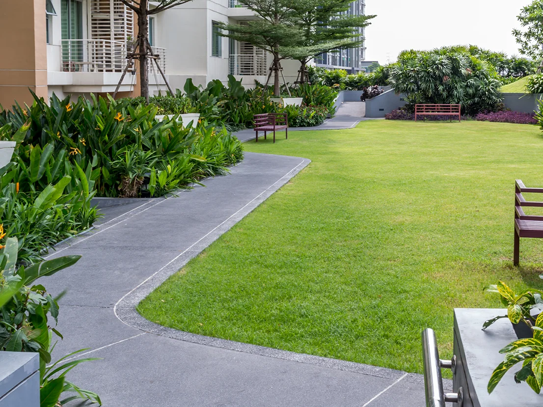 Garden.webp