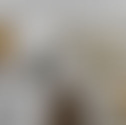 Arizona Remodel: Virtual Kitchen Design