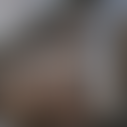 Favorite San Fran + Napa Valley Spots!