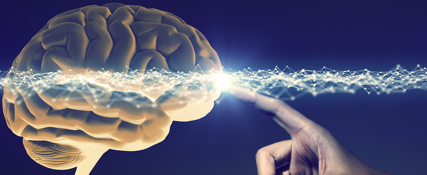 human hand and brain, 3D rendering.jpg