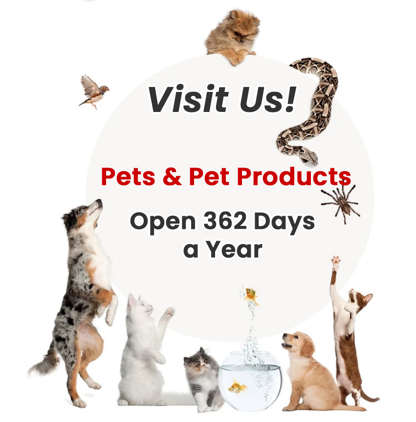 Zdjęcie przypisane do zwierzaka