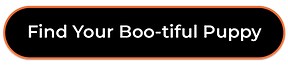 findyourboo.png