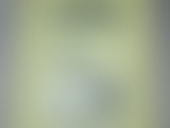 O Vagabundo Filósofo – Maximo Gorki