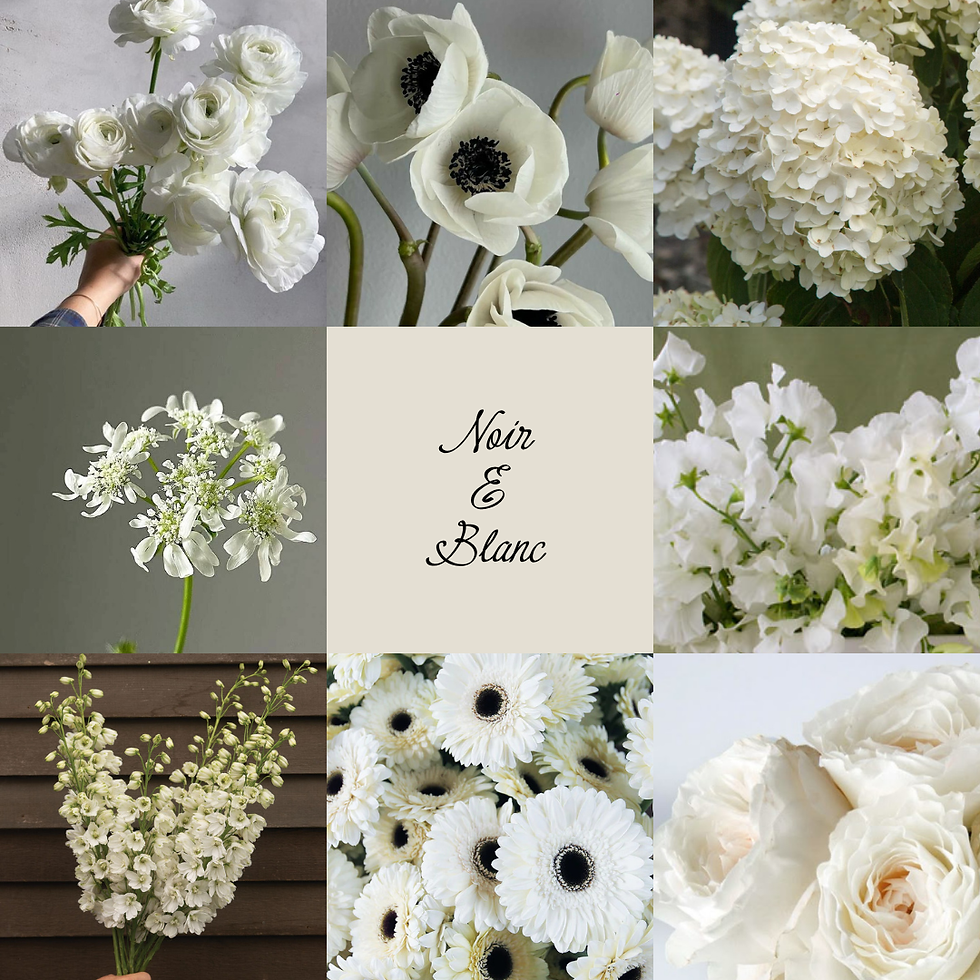 Thumbnail: The Signature