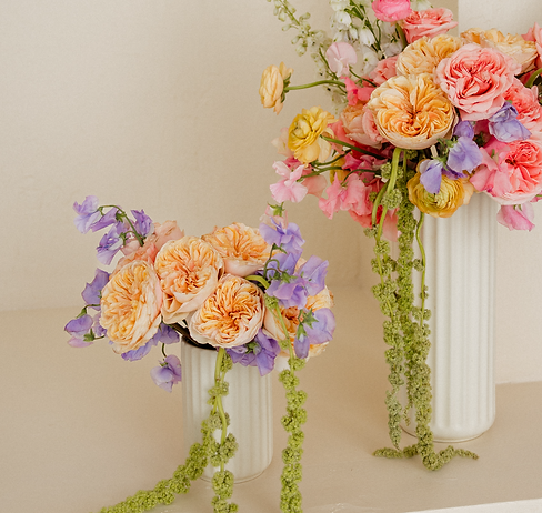 9Y9A5977 (1)_edited.png