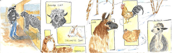 New Hampshire Farm copy_edited.jpg