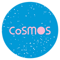 Cosmos logo antwerpen nintya lune webshop 