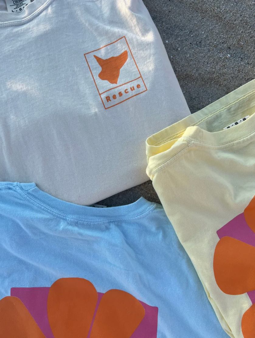 Thumbnail: Spring T-Shirt