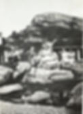 b75 Seterkos på berget. Arkiv Erling Birkeland.jpg