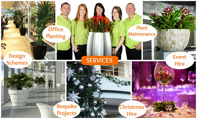 Office Plants London