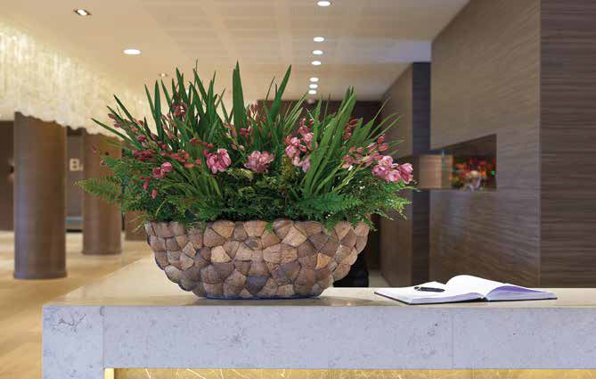 Flowering Reception Areas Gallery