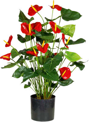 Artifical Plants for Offices Funky Yukka