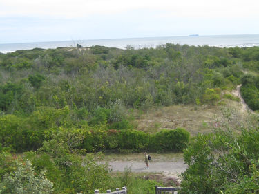 Fort Tilden