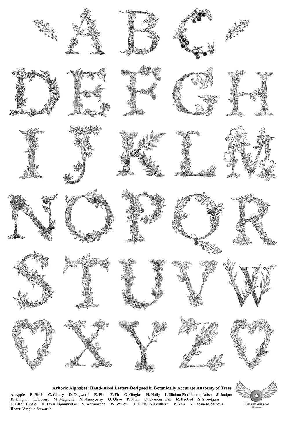 Thumbnail: Arboric Alphabet 12x18