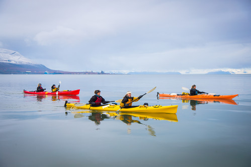 Half-Day Kayak: Explore the Fjord | Svalbard Wildlife