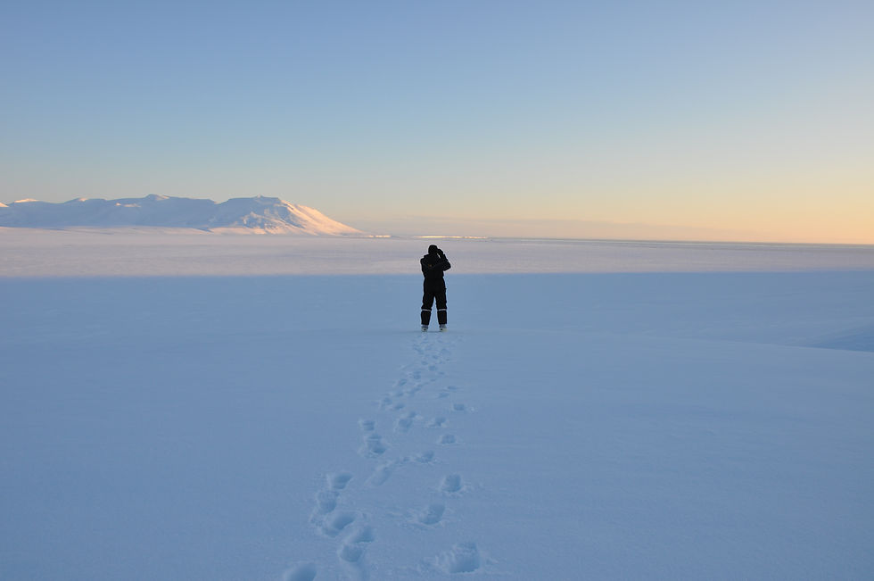 Snowmobile safari for one night at East Coast on Svalbard with Svalbard Wildlife Expeditions