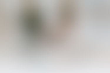 Woman in a cozy room sitting on a brown chair, writing in a notebook by a sunlit window, plant in foreground. Serene atmosphere.