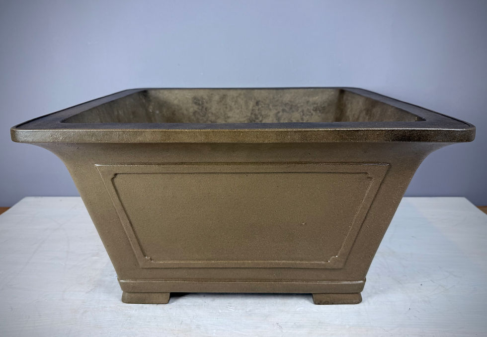 Thumbnail: Chinese bonsai pot - 47 x 47 x 24