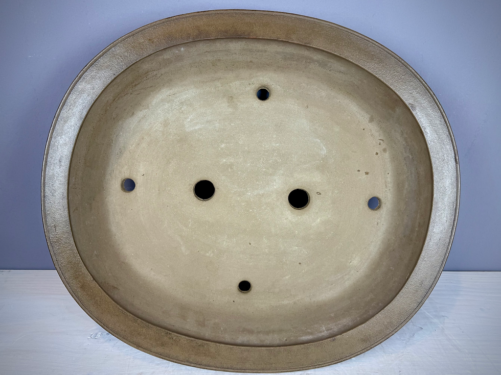 Thumbnail: Tokoname bonsai pot - Suishoen Hekisui , 47 x 40,8 x 9