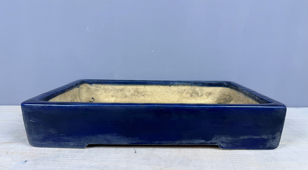 Thumbnail: Tokoname bonsai pot - Yoshimura Shuho - 41,4 x 28,3 x 7,4