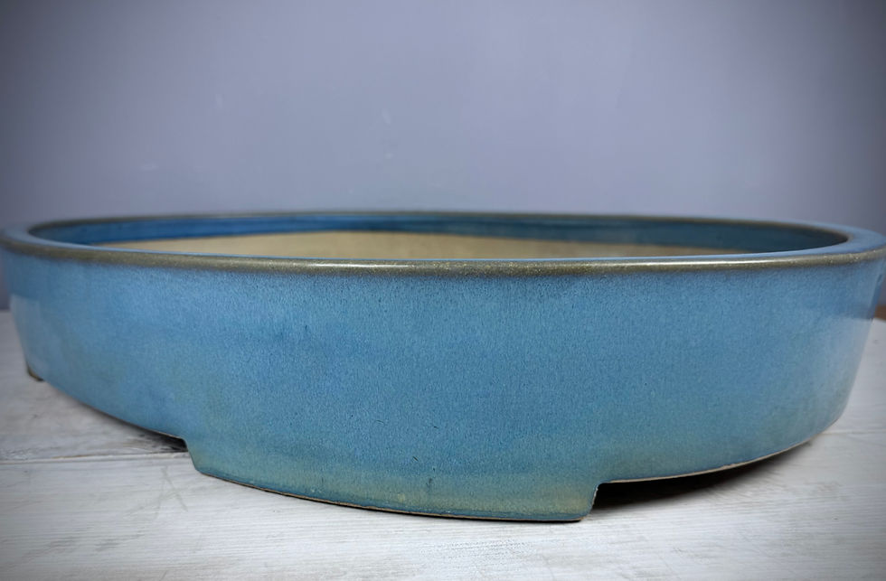 Thumbnail: Japanese bonsai pot - Mazan -  62,2 x 45,1 x 10