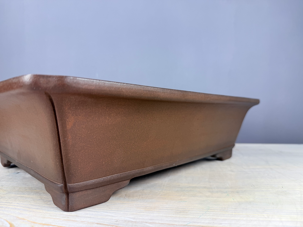 Thumbnail: Tokoname bonsai pot - Gyouzan ( Mr. Nakano Yujji ), 44,4 x 35,6 x 11,8