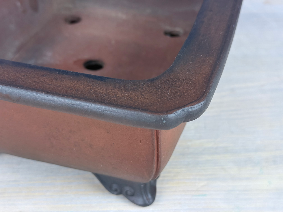 Thumbnail: Tokoname bonsai pot - Shouzan ( Mr. Watanabe Akira ), 31 x 24,8 x 11,8