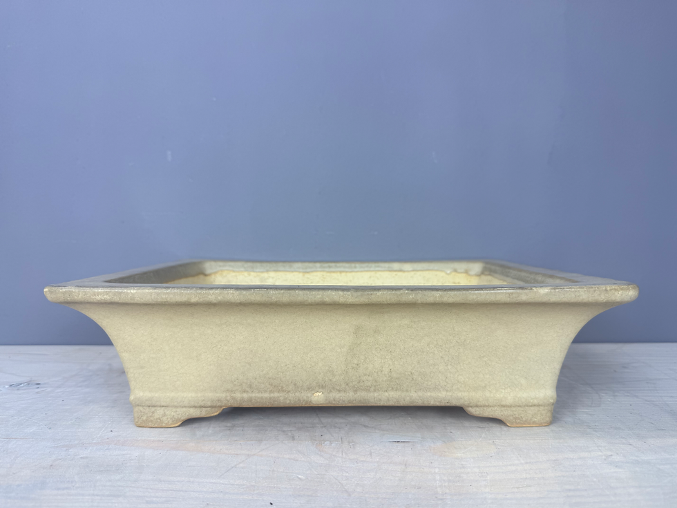 Thumbnail: Tokoname bonsai pot - Kouyou (Mr. Aiba Kouichirou), 34,3 x 26,8 x 9,5