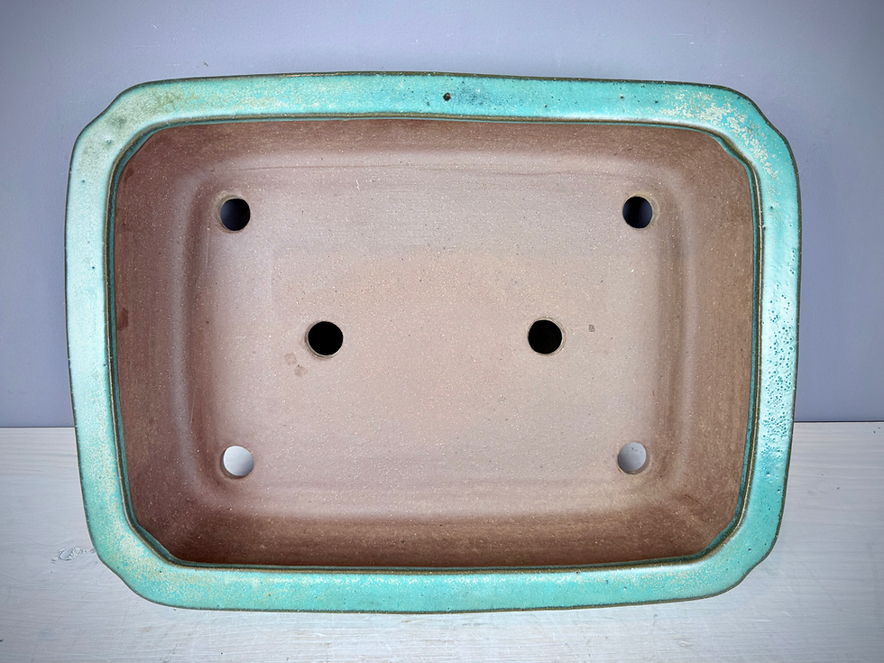 Thumbnail: Tokoname bonsai pot - Kakuzan (Mr. Watanabe Kakayuki) , 40,3 x 30 x 10,3