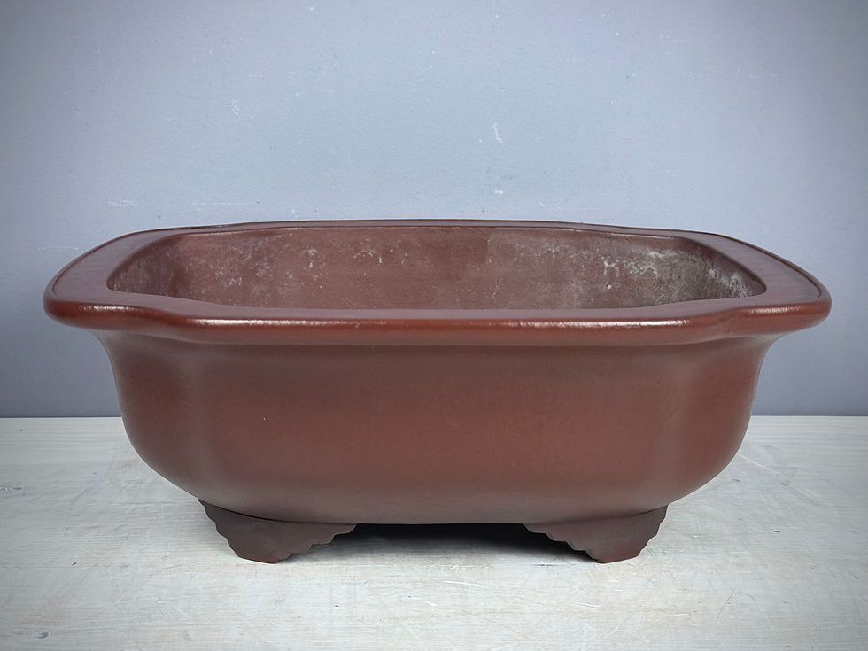 Tokoname bonsai pot - Yamaaki ( Mr. Kataoka Toshio ), 38,3 x 32 x 13,5