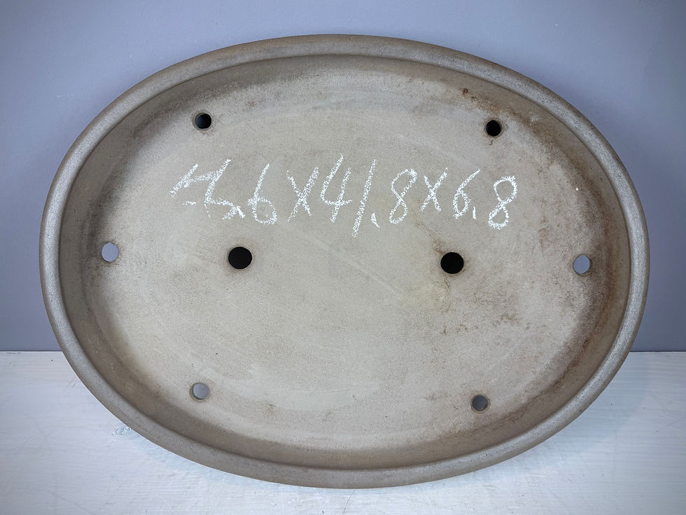 Thumbnail: Tokoname bonsai pot - Kisen Ikkoudou ( Mr. Koie Ikkoudou ), 56,6 x,41,8 x 6,8