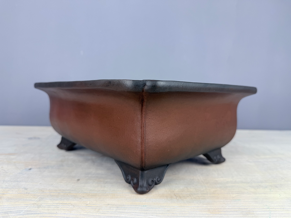 Thumbnail: Tokoname bonsai pot - Shouzan ( Mr. Watanabe Akira ), 31 x 24,8 x 11,8